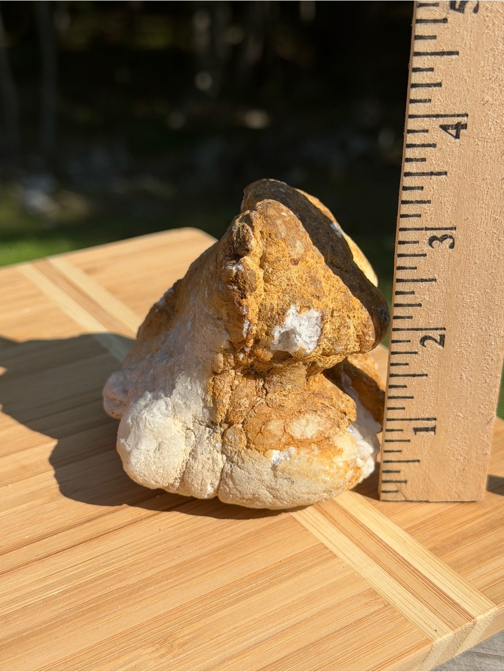 Unique Geode | Quartz Crystal | Geological Decor | 4" Wooden Tripod Stand - Picture 5 of 11